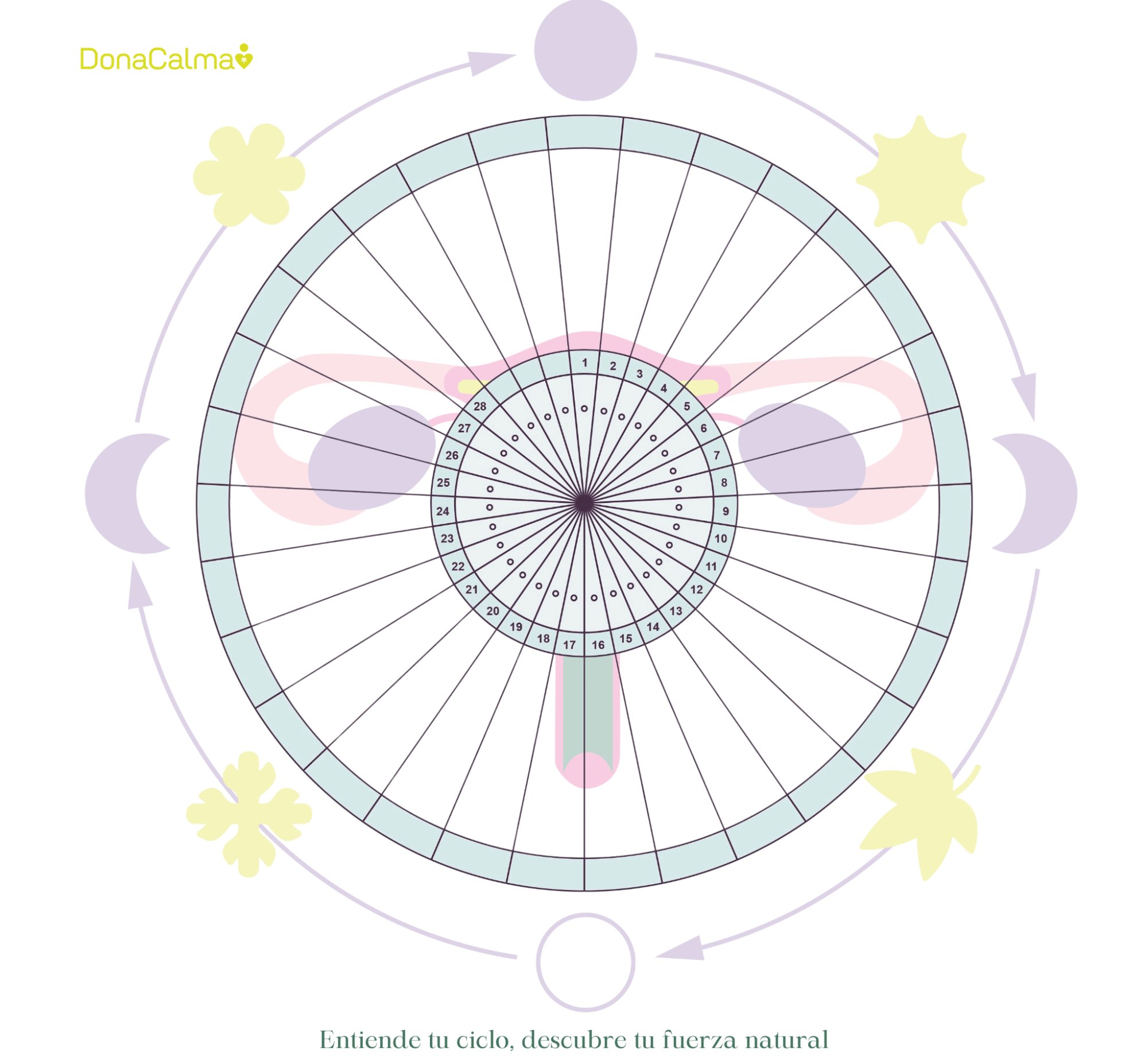 Plantilla de registro DonaCalma